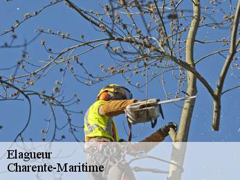 Elagueur Charente-Maritime