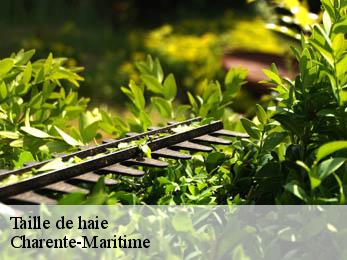 Taille de haie Charente-Maritime 