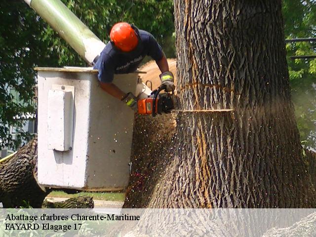 Abattage d'arbres 17 Charente-Maritime  FAYARD Elagage 17