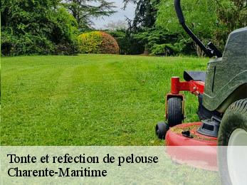 Tonte et refection de pelouse Charente-Maritime 