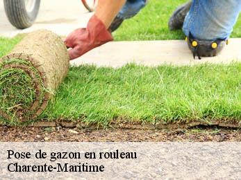 Pose de gazon en rouleau Charente-Maritime