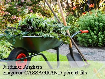 Jardinier  angliers-17540 FAYARD Elagage 17