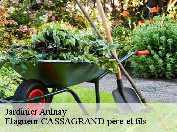 Jardinier  aulnay-17470 FAYARD Elagage 17