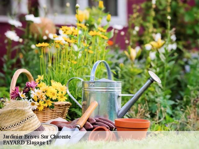 Jardinier  brives-sur-charente-17800 FAYARD Elagage 17