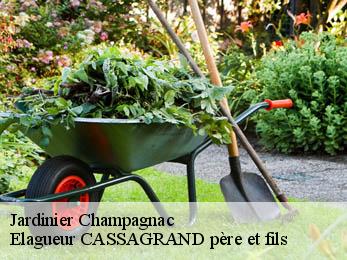 Jardinier  champagnac-17500 FAYARD Elagage 17