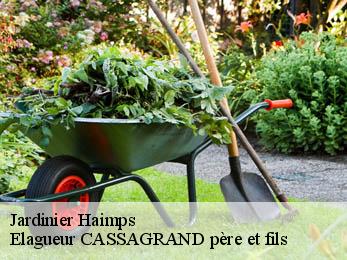 Jardinier  haimps-17160 FAYARD Elagage 17