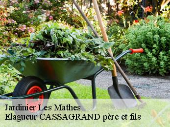 Jardinier les-mathes-17570 Elagueur CASSAGRAND père et fils