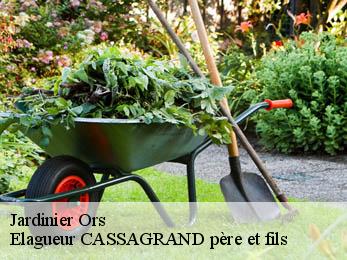 Jardinier  ors-17480 FAYARD Elagage 17