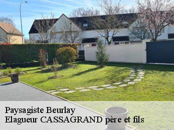Paysagiste beurlay-17250 Elagueur CASSAGRAND père et fils