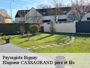 Paysagiste bignay-17400 Elagueur CASSAGRAND père et fils