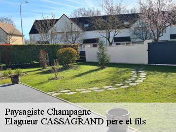 Paysagiste  champagne-17620 FAYARD Elagage 17