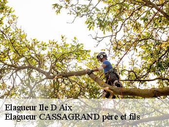 Elagueur  ile-d-aix-17123 FAYARD Elagage 17