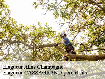 Elagueur  allas-champagne-17500 FAYARD Elagage 17