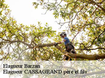 Elagueur  barzan-17120 FAYARD Elagage 17