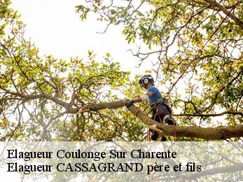 Elagueur coulonge-sur-charente-17350 Elagueur CASSAGRAND père et fils