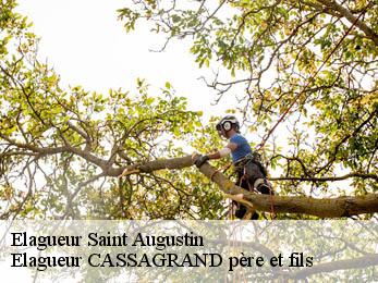 Elagueur saint-augustin-17570 FAYARD Elagage 17