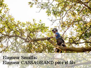 Elagueur semillac-17150 Elagueur CASSAGRAND père et fils
