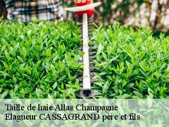 Taille de haie  allas-champagne-17500 FAYARD Elagage 17