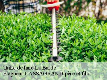 Taille de haie la-barde-17360 Elagueur CASSAGRAND père et fils