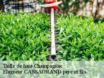 Taille de haie  champagnac-17500 FAYARD Elagage 17