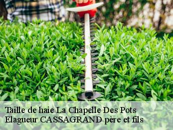 Taille de haie la-chapelle-des-pots-17100 Elagueur CASSAGRAND père et fils