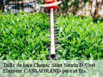 Taille de haie chenac-saint-seurin-d-uzet-17120 Elagueur CASSAGRAND père et fils