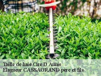 Taille de haie cire-d-aunis-17290 Elagueur CASSAGRAND père et fils