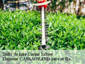 Taille de haie  corme-ecluse-17600 FAYARD Elagage 17