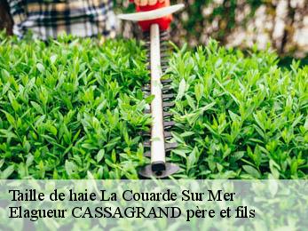Taille de haie la-couarde-sur-mer-17670 Elagueur CASSAGRAND père et fils