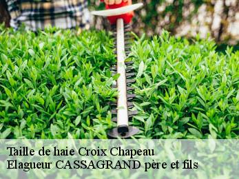 Taille de haie croix-chapeau-17220 Elagueur CASSAGRAND père et fils