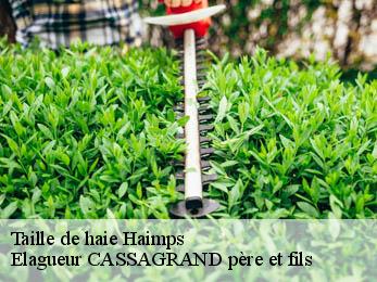 Taille de haie  haimps-17160 FAYARD Elagage 17