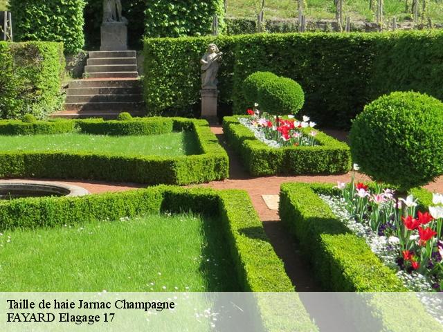 Taille de haie  jarnac-champagne-17520 FAYARD Elagage 17