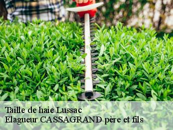 Taille de haie  lussac-17500 FAYARD Elagage 17