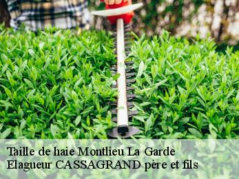 Taille de haie montlieu-la-garde-17210 Elagueur CASSAGRAND père et fils