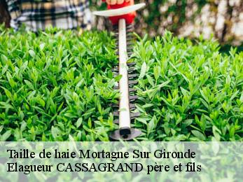 Taille de haie mortagne-sur-gironde-17120 Elagueur CASSAGRAND père et fils