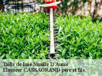Taille de haie nuaille-d-aunis-17540 Elagueur CASSAGRAND père et fils