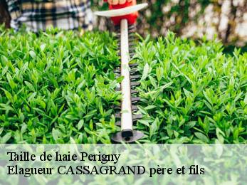 Taille de haie  perigny-17180 Elagueur CASSAGRAND père et fils