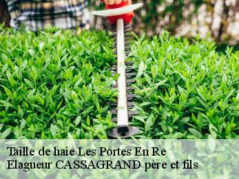 Taille de haie les-portes-en-re-17880 Elagueur CASSAGRAND père et fils
