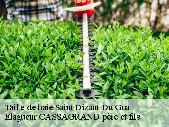 Taille de haie saint-dizant-du-gua-17240 Elagueur CASSAGRAND père et fils