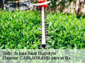 Taille de haie saint-hippolyte-17430 Elagueur CASSAGRAND père et fils