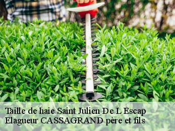 Taille de haie  saint-julien-de-l-escap-17400 FAYARD Elagage 17