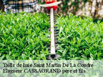 Taille de haie saint-martin-de-la-coudre-17330 Elagueur CASSAGRAND père et fils