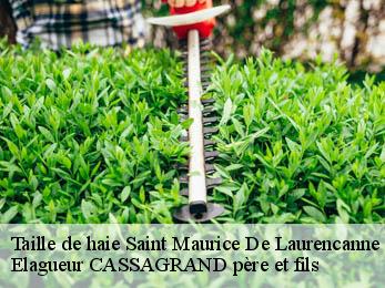 Taille de haie saint-maurice-de-laurencanne-17130 Elagueur CASSAGRAND père et fils