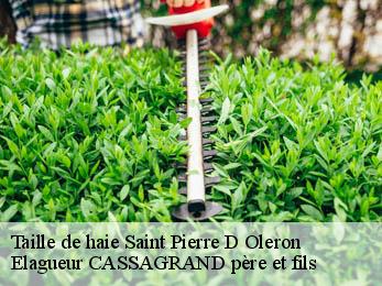 Taille de haie saint-pierre-d-oleron-17310 Elagueur CASSAGRAND père et fils