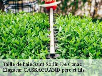 Taille de haie saint-sorlin-de-conac-17150 Elagueur CASSAGRAND père et fils