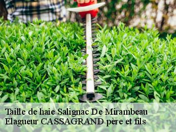 Taille de haie salignac-de-mirambeau-17130 Elagueur CASSAGRAND père et fils