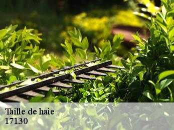 Taille de haie 17130
