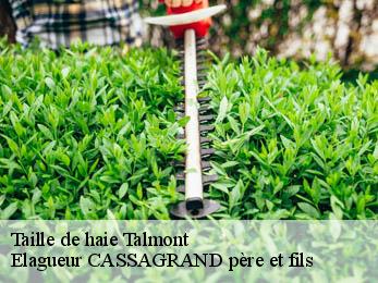 Taille de haie talmont-17120 Elagueur CASSAGRAND père et fils