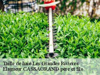 Taille de haie les-grandes-rivieres-17220 Elagueur CASSAGRAND père et fils