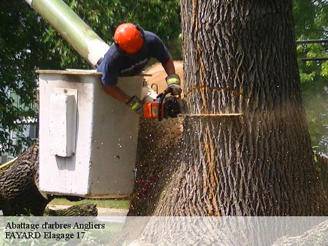 Abattage d'arbres  angliers-17540 FAYARD Elagage 17